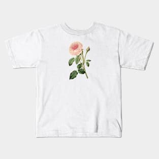 Pink Rose Flower Vintage Botanical Illustration Kids T-Shirt